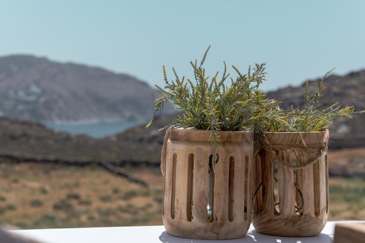 Anemela Villas & Suites Mykonos 阿格拉瑞 外观 照片