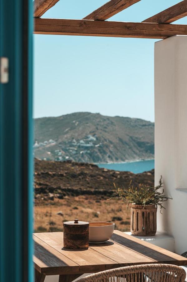 Anemela Villas & Suites Mykonos 阿格拉瑞 外观 照片