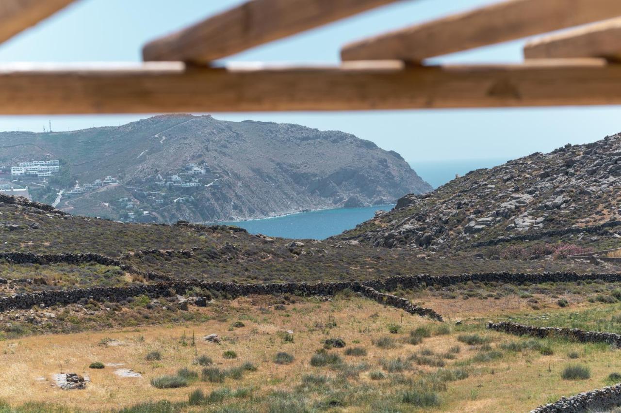 Anemela Villas & Suites Mykonos 阿格拉瑞 外观 照片